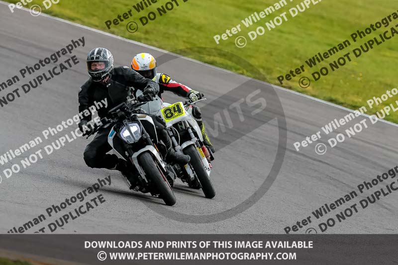 PJ Motorsport 2019;anglesey no limits trackday;anglesey photographs;anglesey trackday photographs;enduro digital images;event digital images;eventdigitalimages;no limits trackdays;peter wileman photography;racing digital images;trac mon;trackday digital images;trackday photos;ty croes